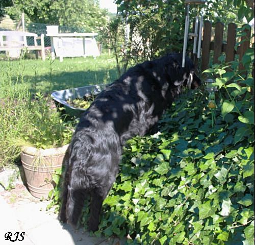 IMG_2532 - Kopie.JPG